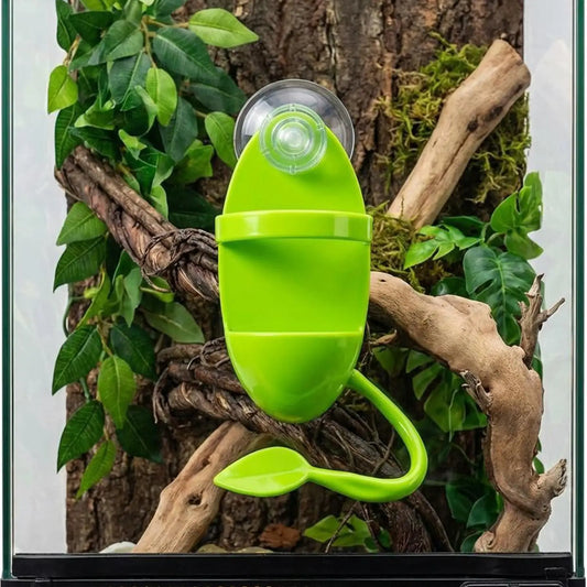 Suction Mount Lizard Feeder Bowl Anti Escape - MyPetDollar.com
