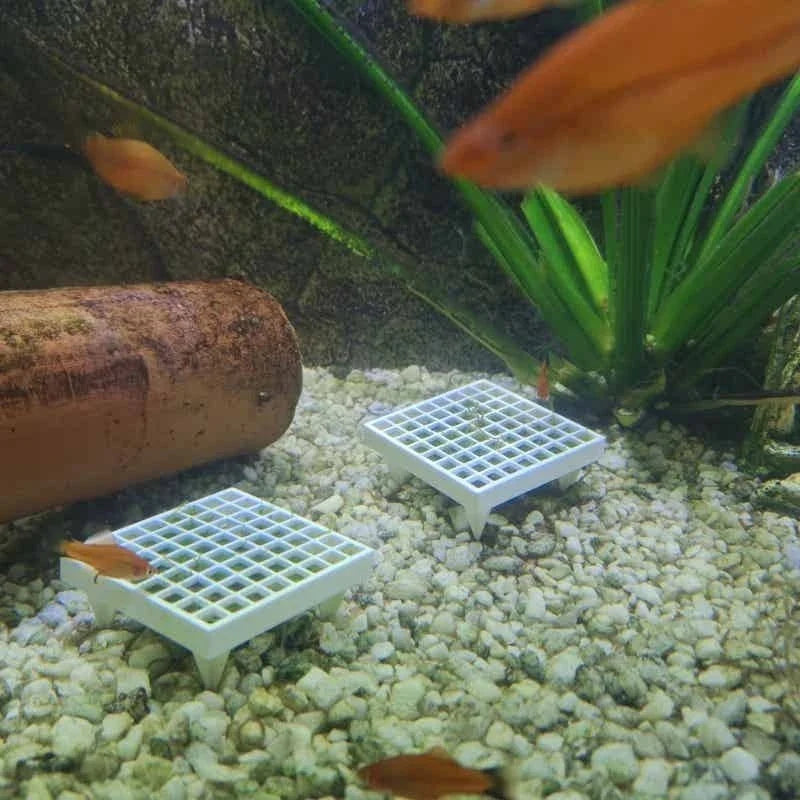 Aquarium Moss Holder with Stand for Live - MyPetDollar.com