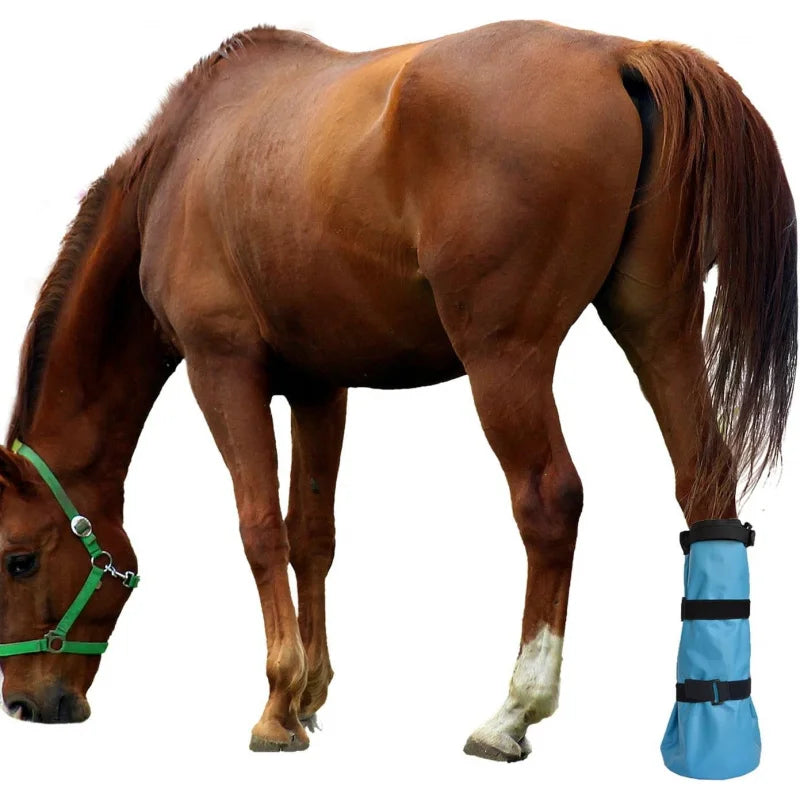 Heavy Duty Hoof Soaking Boots With EVA Pads - MyPetDollar.com