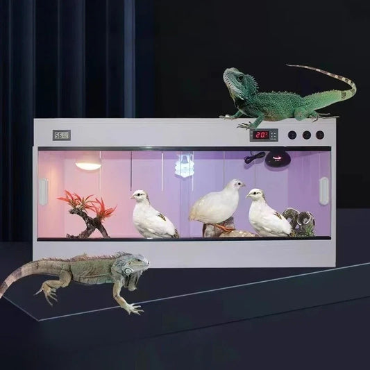 Thermostatic Rutin Chicken Feeding Box - MyPetDollar.com