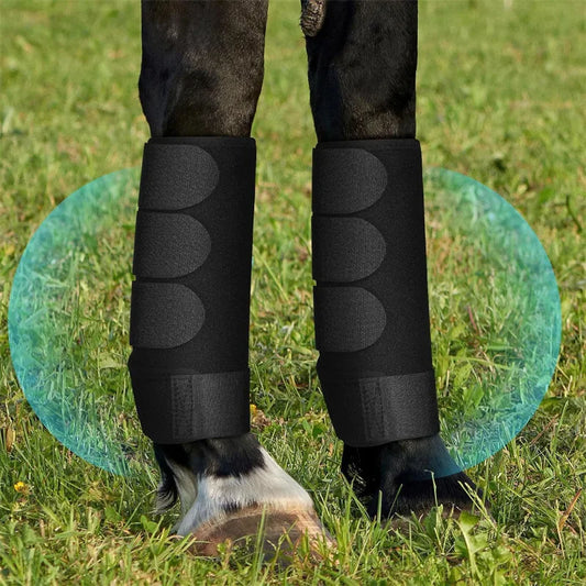 2PCS Horse Legging Boots Anti-Collision - MyPetDollar.com