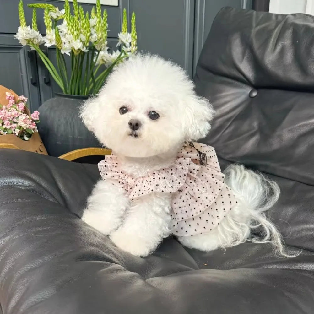 Thin Dogs Polka Dot Lace Dress Soft Fabric - MyPetDollar.com