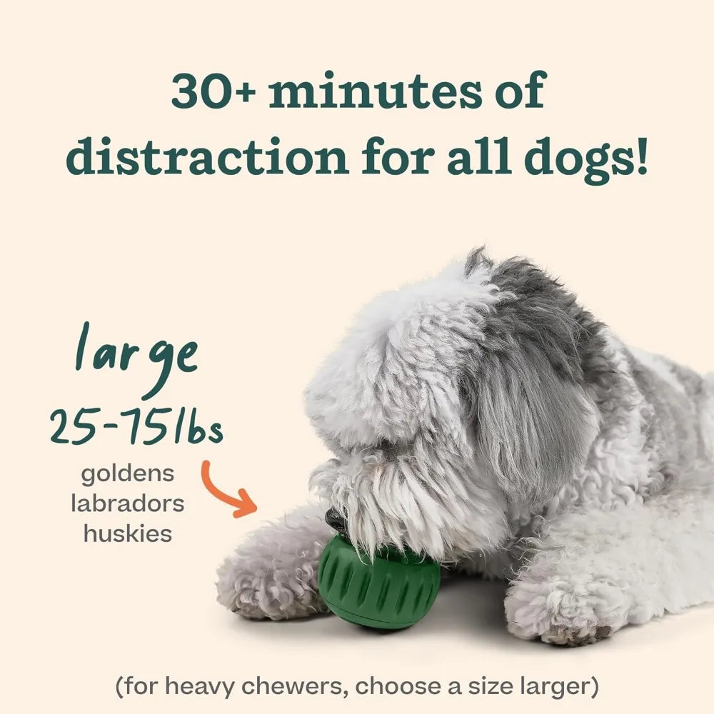 Pupsicle & Treat Tray Long-Lasting - MyPetDollar.com