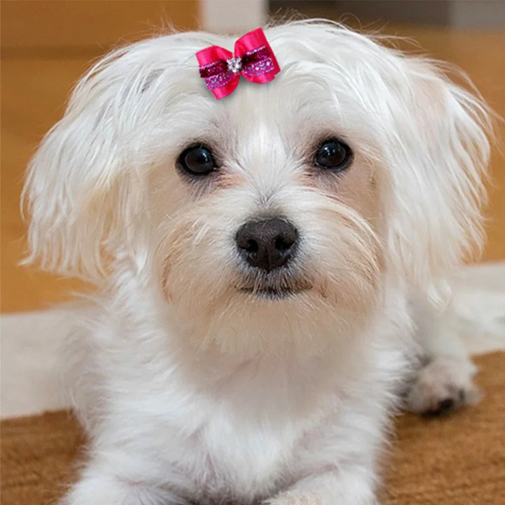 20pcs Pet Dog Cute Hair Bows with - MyPetDollar.com