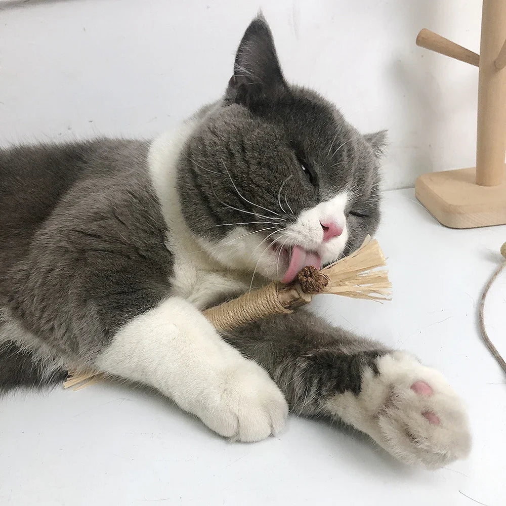 Natural Matatabi Pet Cat Snacks Sticks - MyPetDollar.com