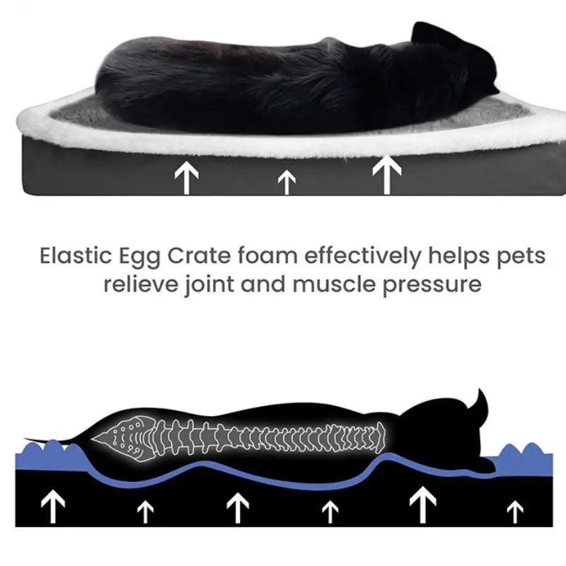 for Medium Dog Dog Bed Mat with Zipper - MyPetDollar.com