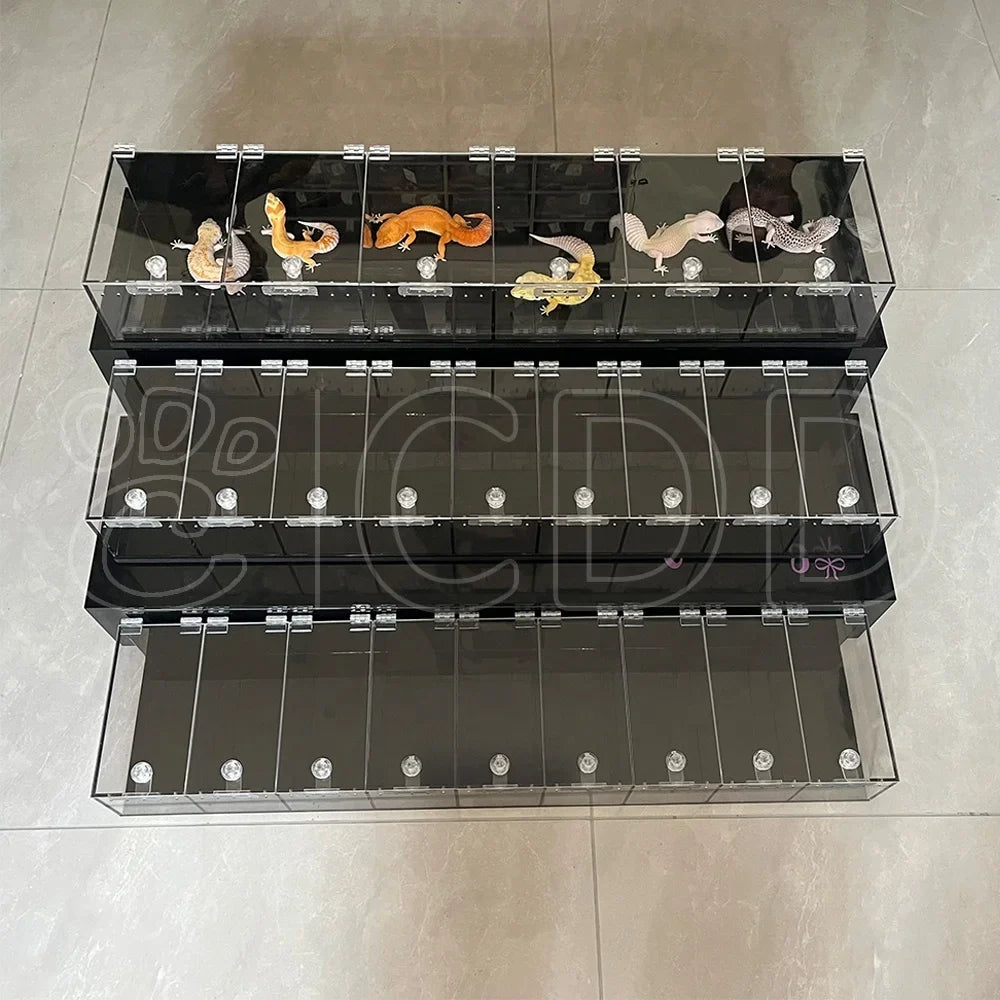 Custom Clear Acrylic Reptile Snake Display Stand