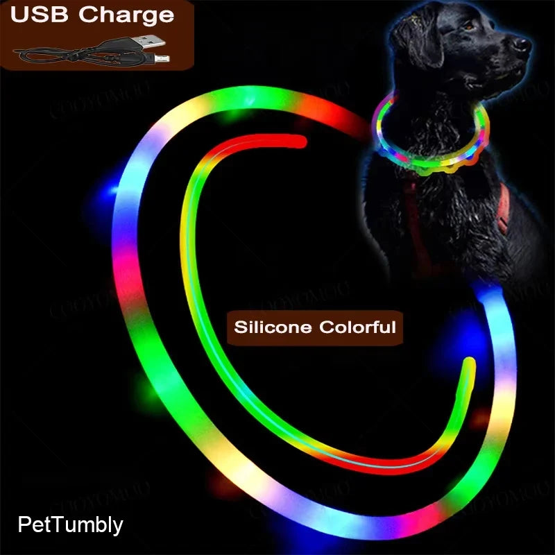4 Modes Dog Luminou Charge Collar Led Usb - MyPetDollar.com