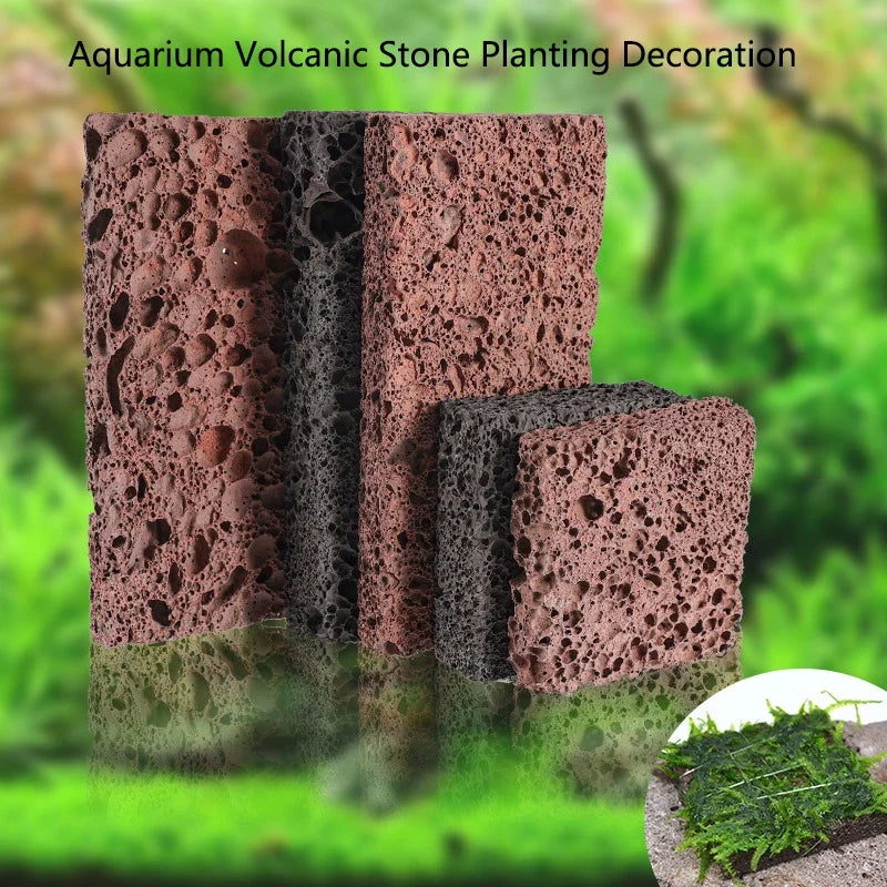 Volcanic Aquarium Decoration Fish Tank Plant - MyPetDollar.com