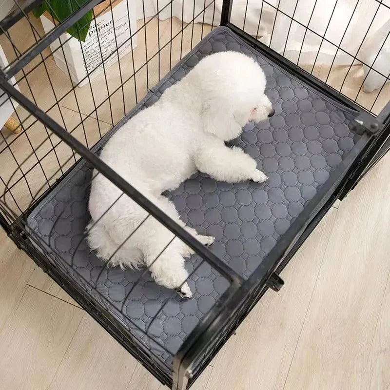Pet Pee Pads Mat Washable Dog Urine Mat - MyPetDollar.com