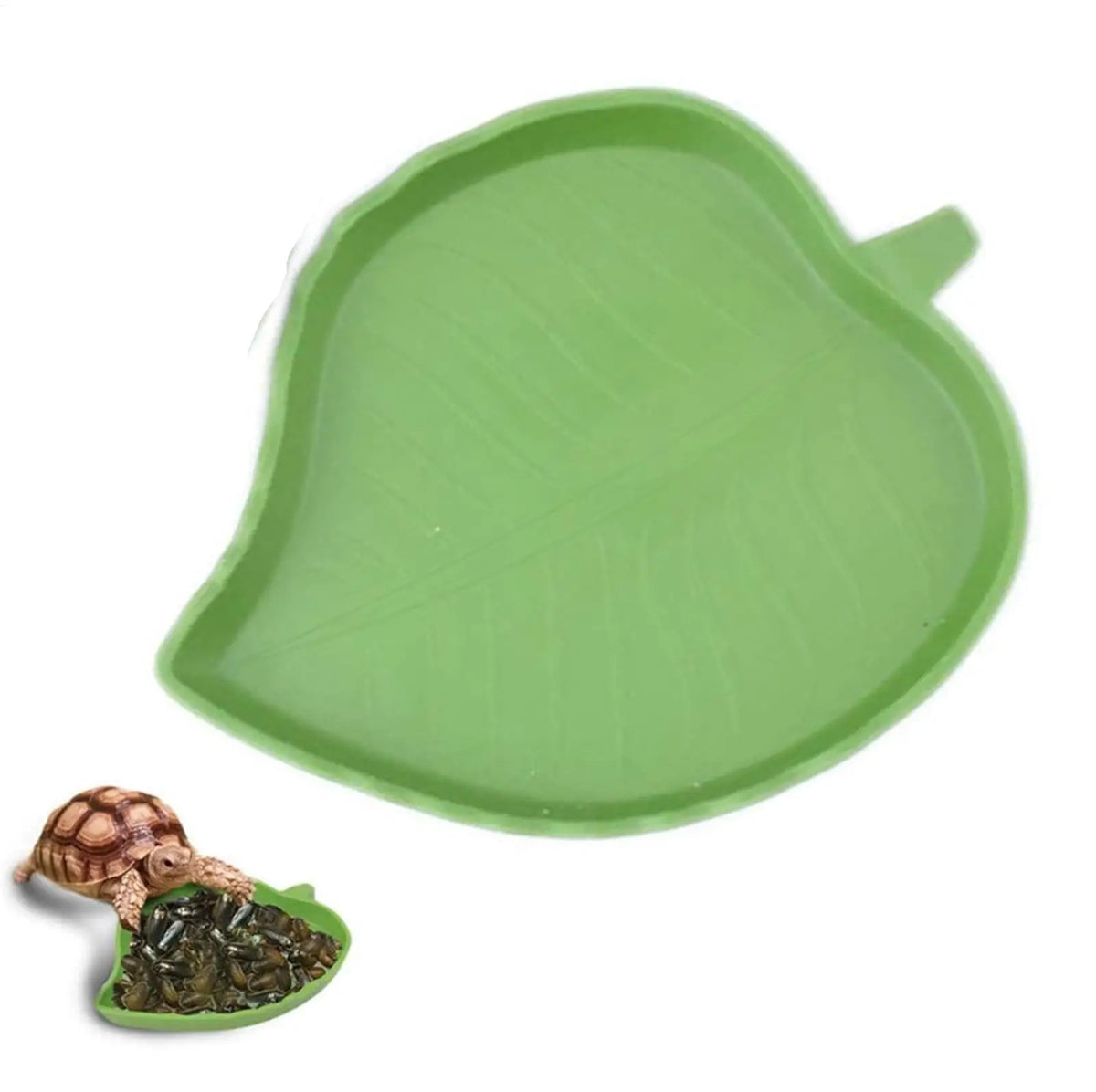 Leaf Reptile Food Water Bowl Flat Drinking - MyPetDollar.com
