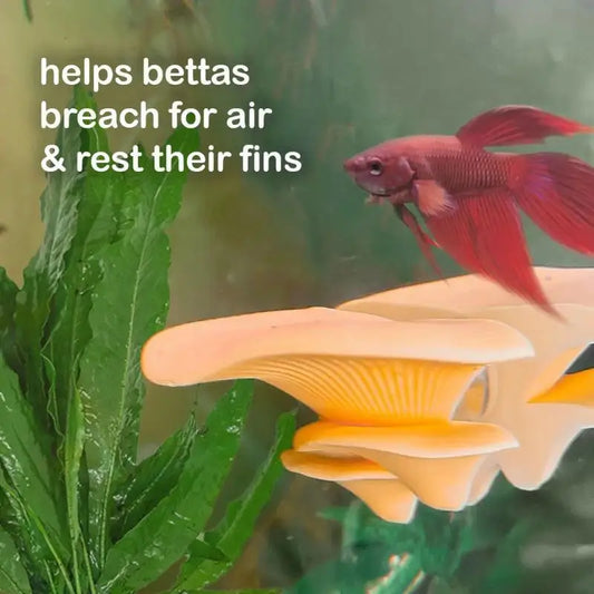 Mushroom Hammock Betta Fish Rest Bed - MyPetDollar.com