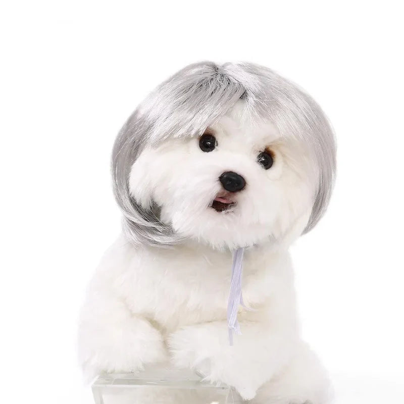 Pet Wig Dog And Cat Spoof Wig Pet Supplies - MyPetDollar.com