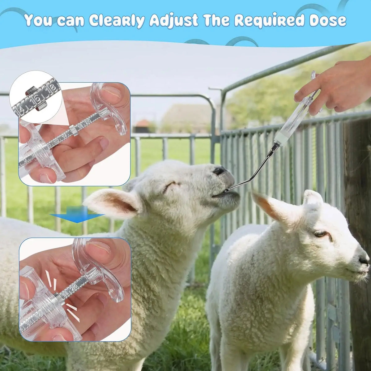 Adjustable Animal Oral Drencher Reusable - MyPetDollar.com