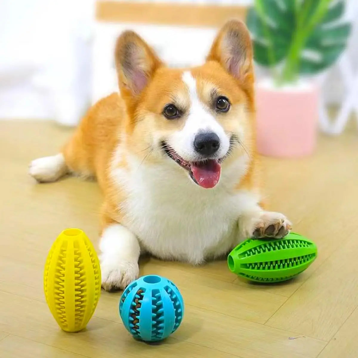 Pet Dog Chew Toys Teeth Cleaning Snack Ball - MyPetDollar.com