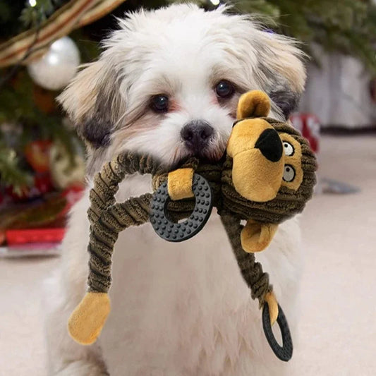 Squeaky Puppy Toys Plush Teeth Cleaning Chew - MyPetDollar.com
