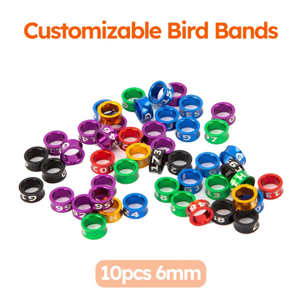 Customized Bird Rings, Durable Random Color Metal