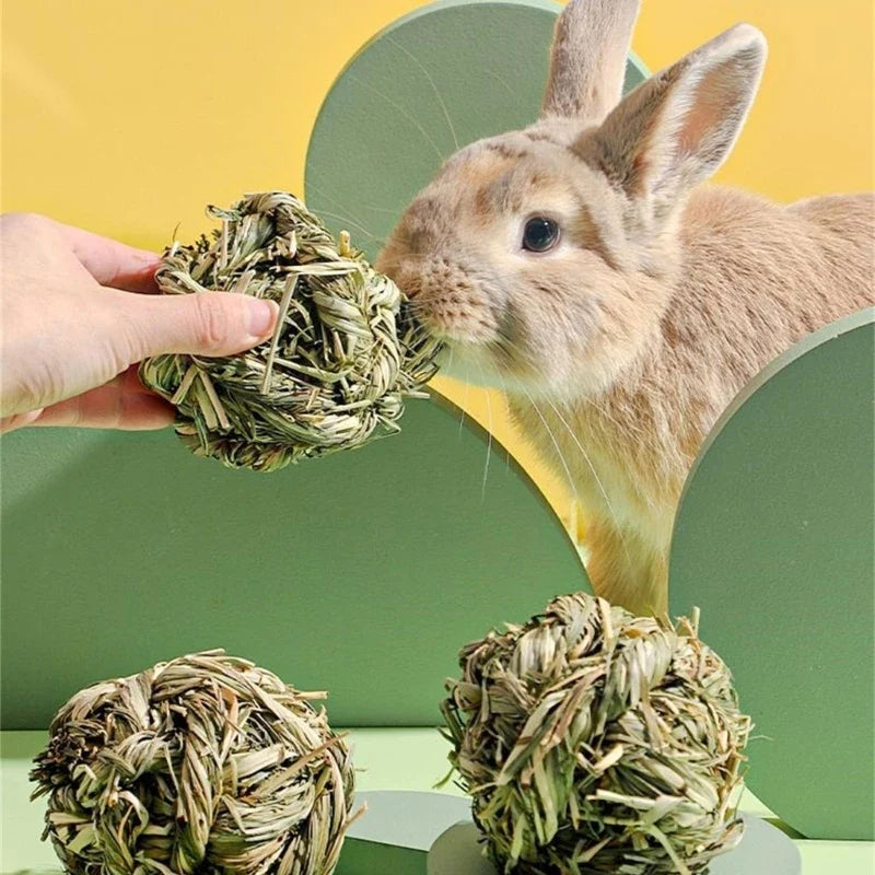 Small Pet Chewing Toy Rabbit Scratching Toy - MyPetDollar.com
