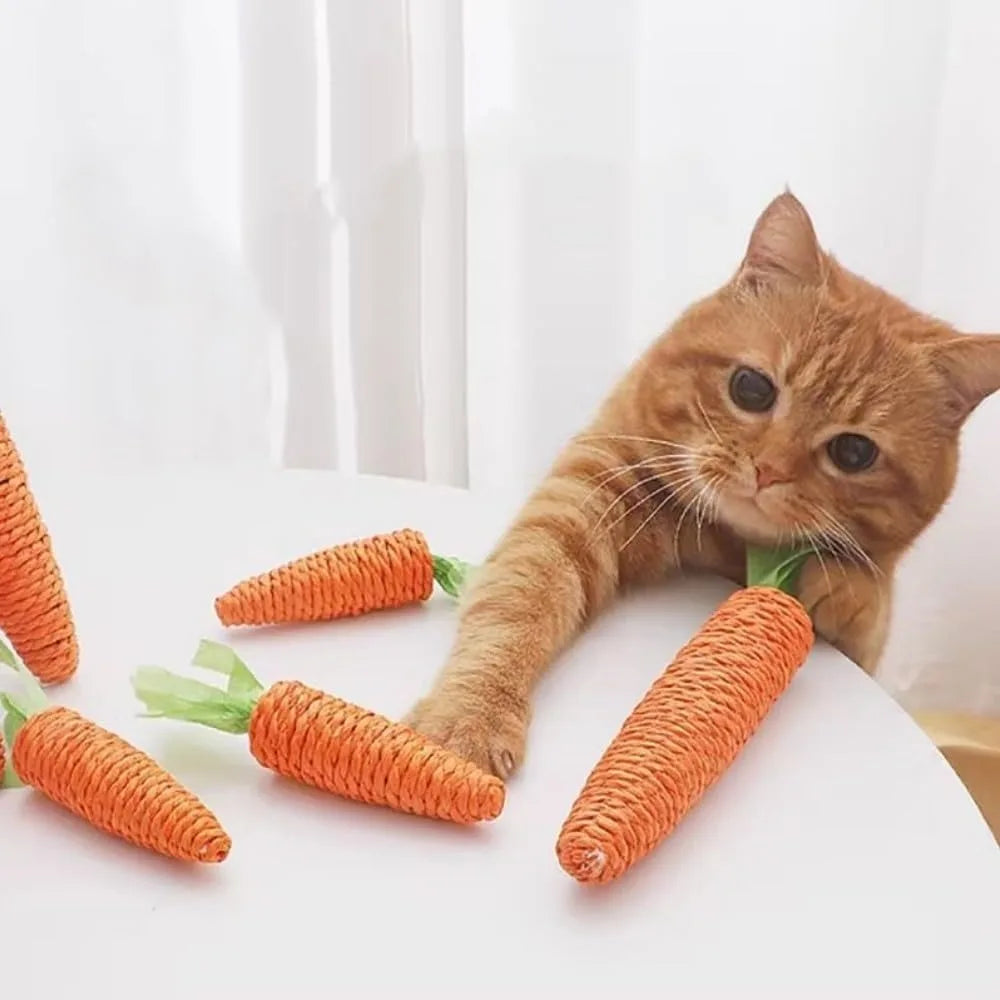 Cat Corner Scratcher Self Groomer with - MyPetDollar.com