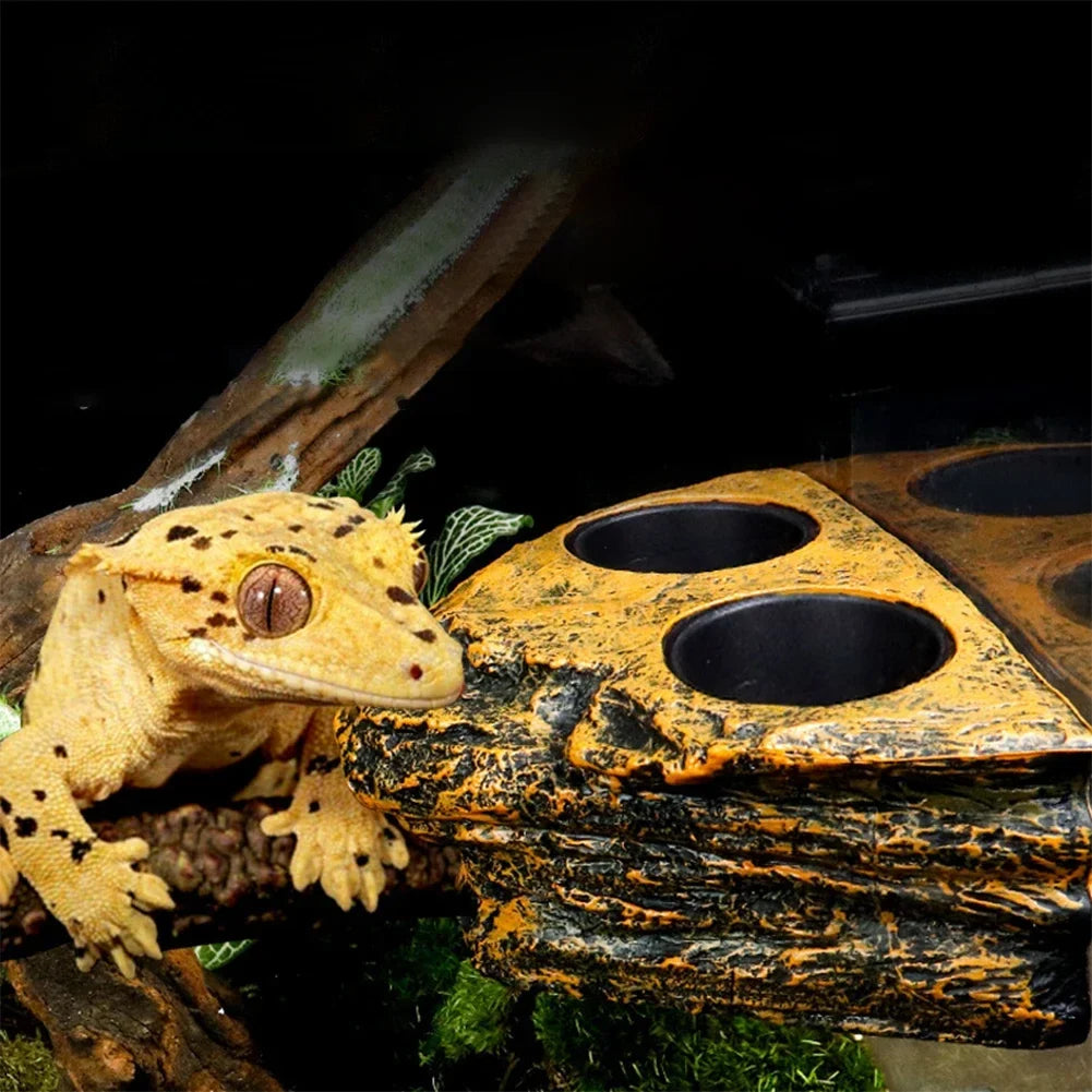 Magnetic Reptiles Amphibians Feeding Ledge - MyPetDollar.com