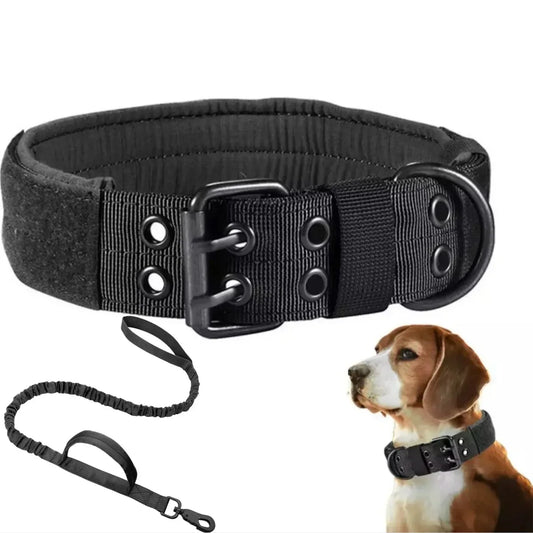 Adjustable Pet Tactical Dog Collar Durable - MyPetDollar.com