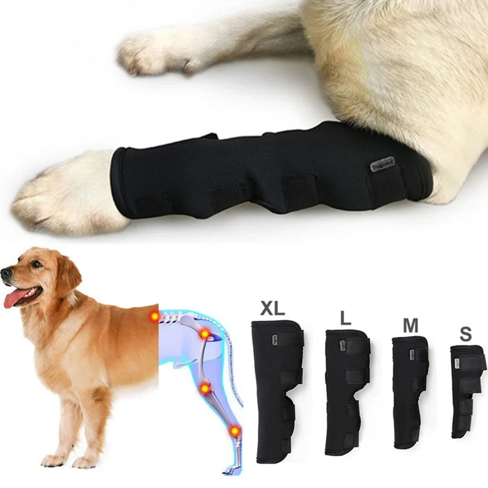 1 Pcs Breathable Dog Support Brace Joint - MyPetDollar.com