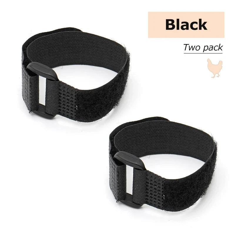No Crow Rooster Collar – 5 Colors