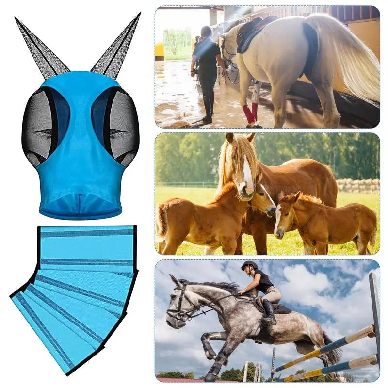 Horse Fly Boots Protective Horse Leg Wraps - MyPetDollar.com