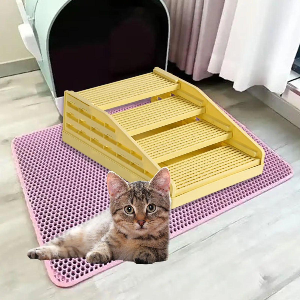 Adjustable Cat Litter Box Step Ramp – 3 Colors