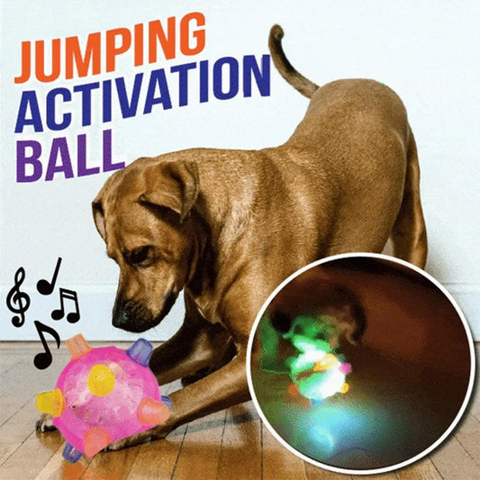Interactive Dog Rolling Ball Toy Jumping - MyPetDollar.com
