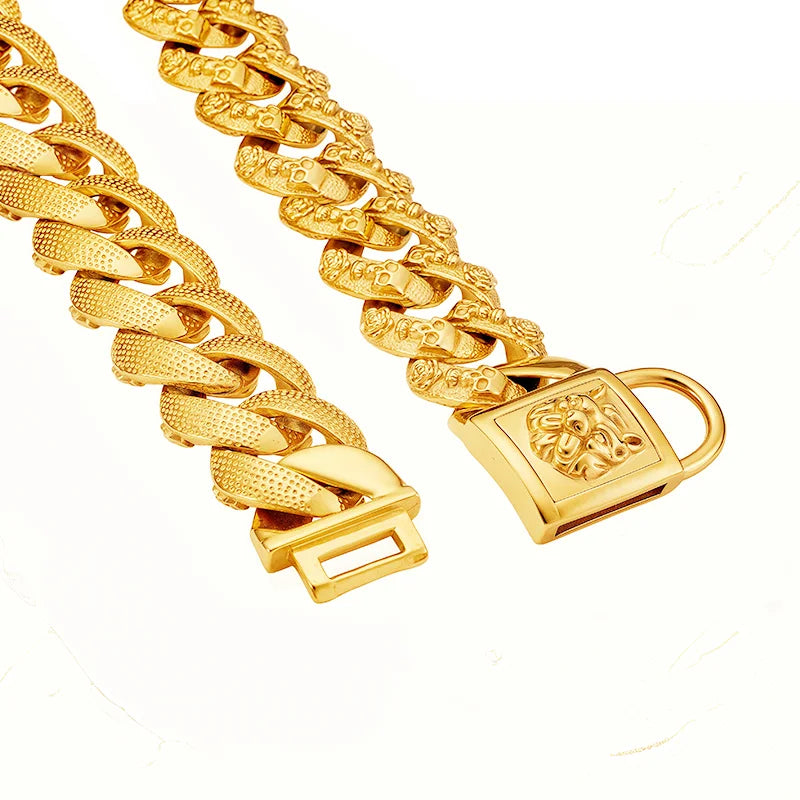 Metal Collar for Large Dog Gold Silver Pet - MyPetDollar.com