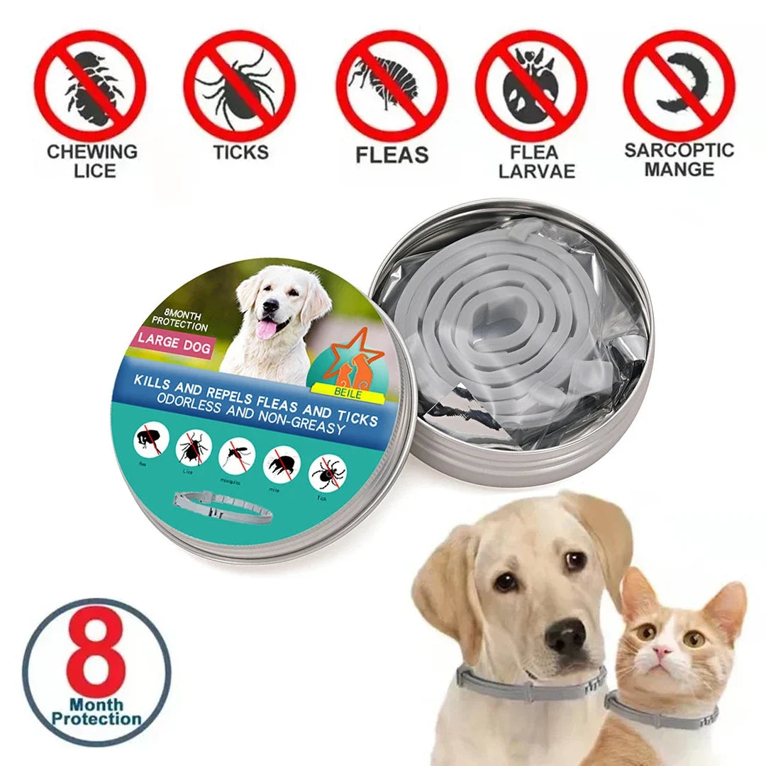 Dog Anti Flea And Tick Collars Pet 8 Month - MyPetDollar.com