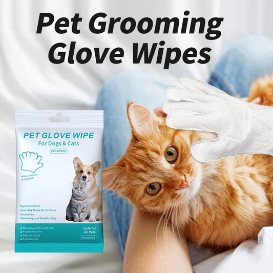 New 6PCS Pet Wash-Free Gloves Cat Bath - MyPetDollar.com