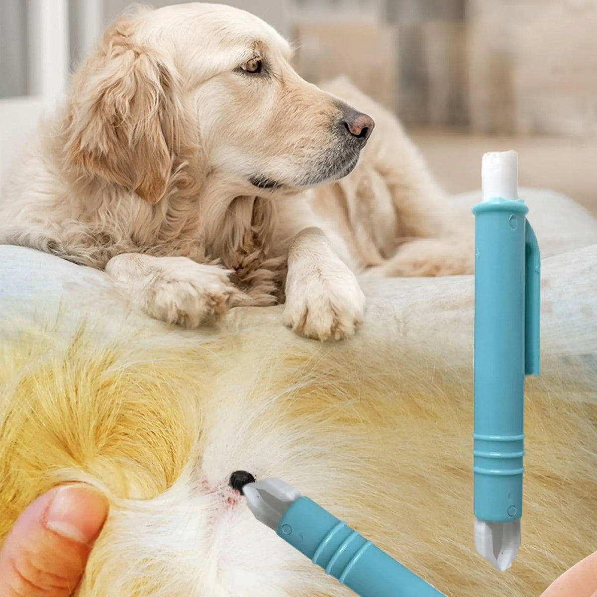 Flea Remover Hook Tick Removal Tweezer Ticks - MyPetDollar.com