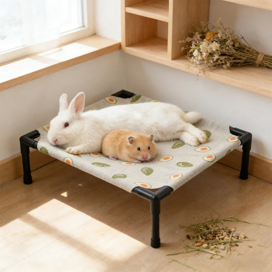 1PC Elevated Pet Bed Raised Small Animal Bed - MyPetDollar.com