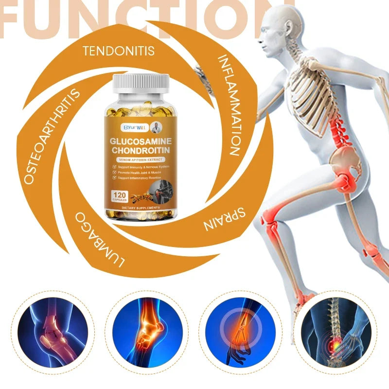 Bee Venom Glucosamine Chondroitin MSM - MyPetDollar.com