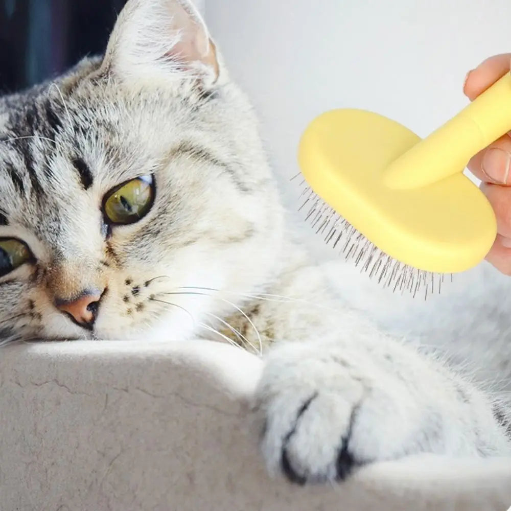 Quality Float Removal Cat Comb Pet Cleaning - MyPetDollar.com