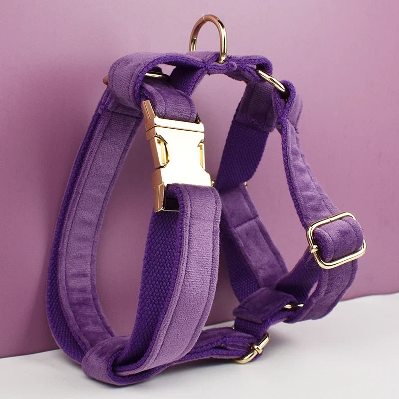 Purple Velvet Dog Collar And Leash Set For - MyPetDollar.com