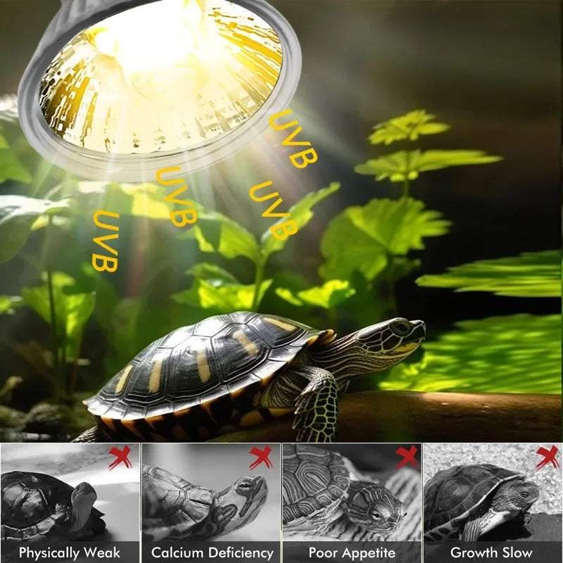 25/50/75W UVA UVB Reptile Lamp Bulb Turtle - MyPetDollar.com