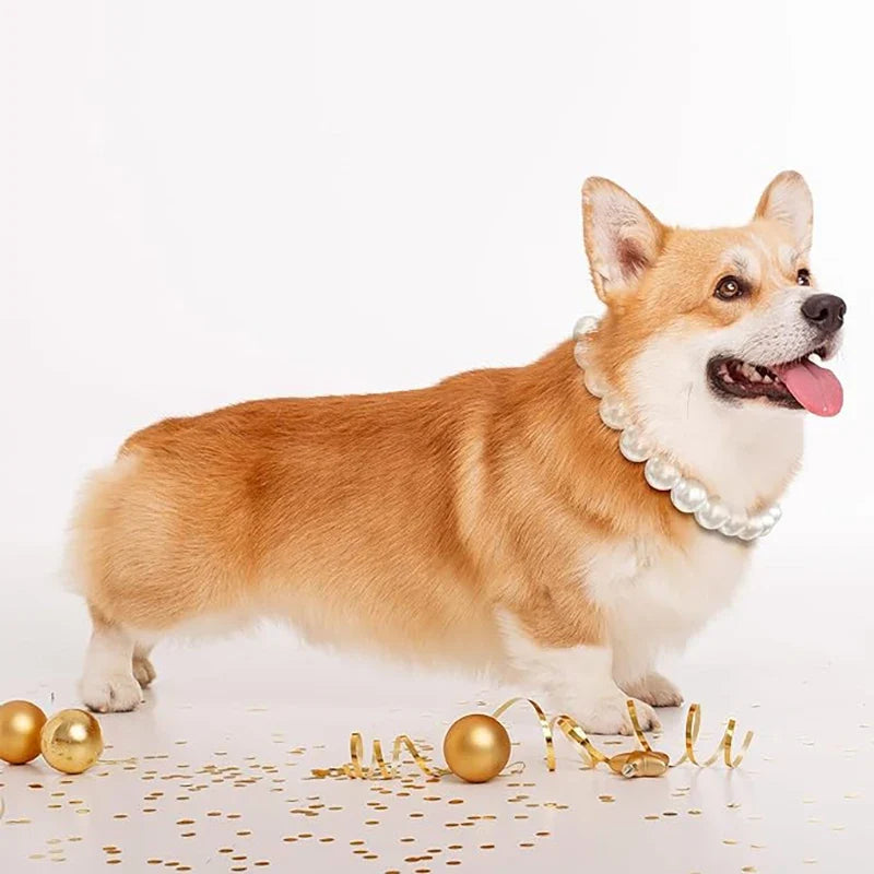 Luxury Dog Pearl Necklace Jewelry - MyPetDollar.com
