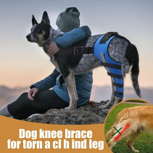 Dog Back Leg Braces Pet Orthopedic Joint Support Portable (2 sizes)
