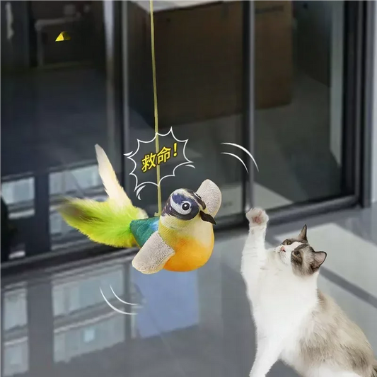 Chirping Bird Cat Toy Elastic Rope Kitten Teaser (3 colors)
