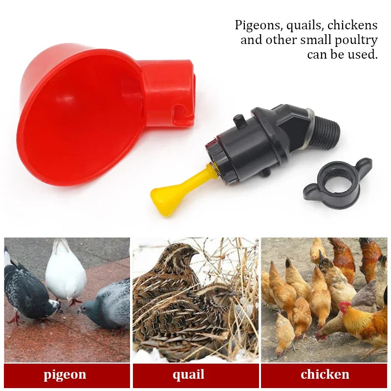 6-36Pcs Chicken Quail Hanging Water Cups - MyPetDollar.com