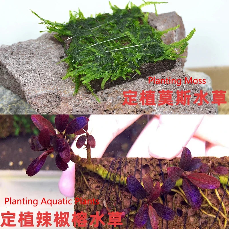 Volcanic Aquarium Decoration Fish Tank Plant - MyPetDollar.com
