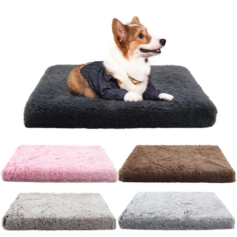 Ultra Plush Deluxe Orthopedic Foam Dog Bed - MyPetDollar.com