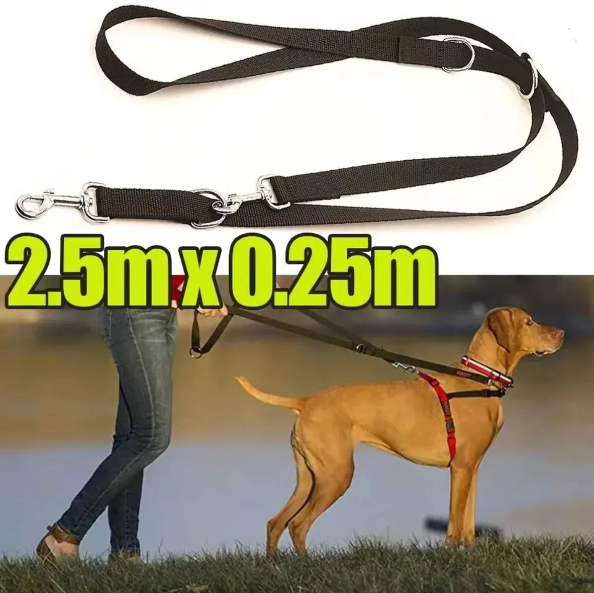 250CMX2.5CM Long Adjustable Dog Leash for - MyPetDollar.com