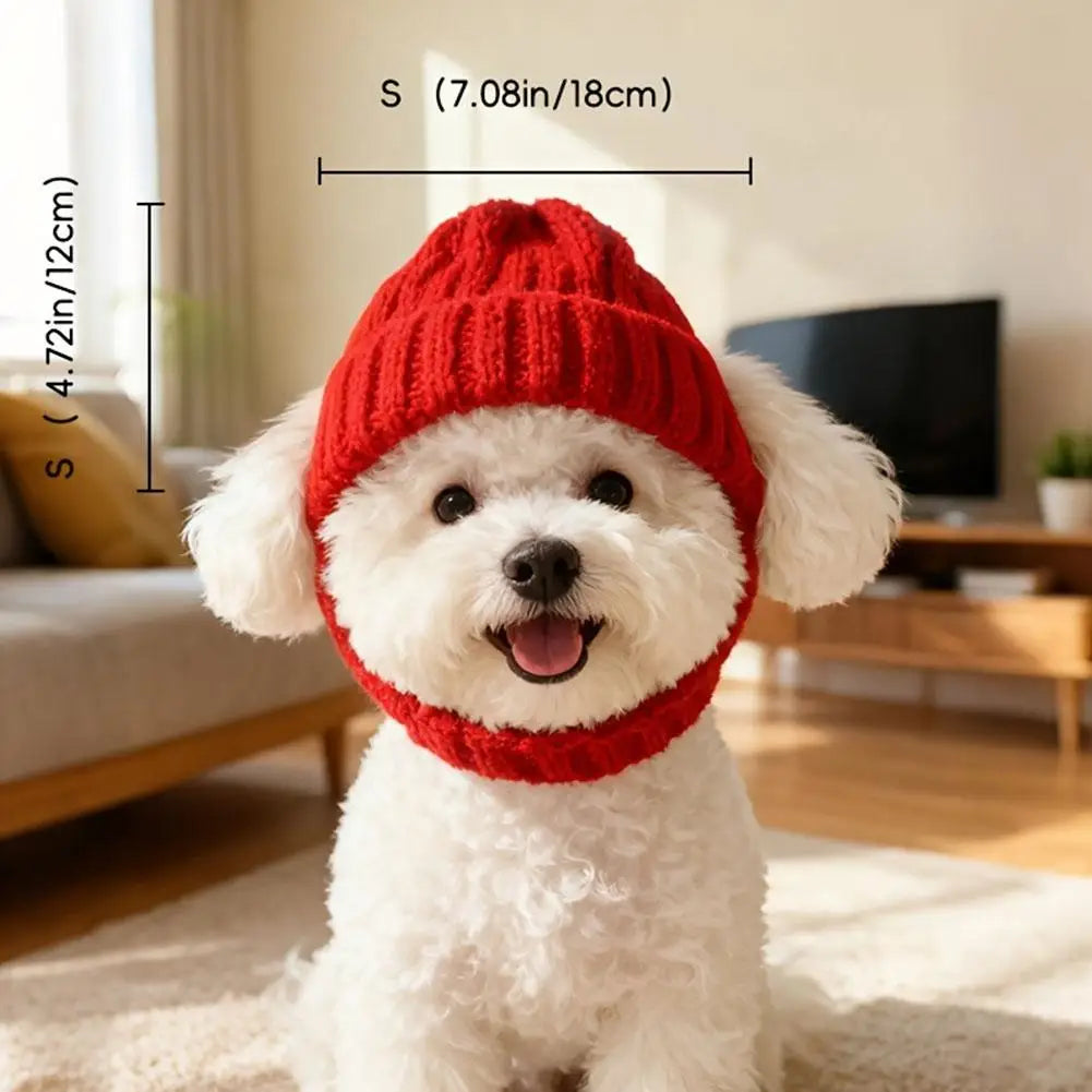 Pet Cat Hat Cute Cold Weather Windproof - MyPetDollar.com