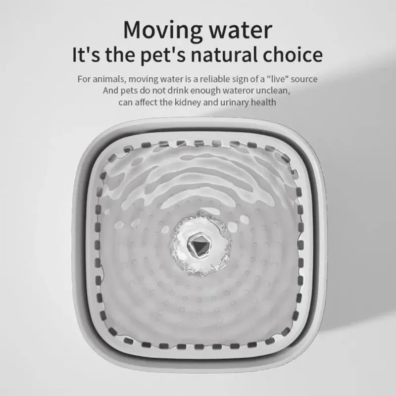 3L Large Capacity Automatic Circulating Pet - MyPetDollar.com