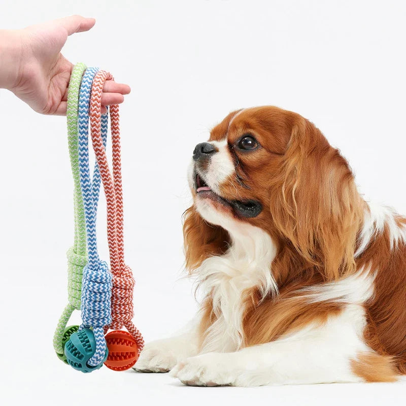 Pet Tooth Cleaning Pet Ball Toy with Rope - MyPetDollar.com