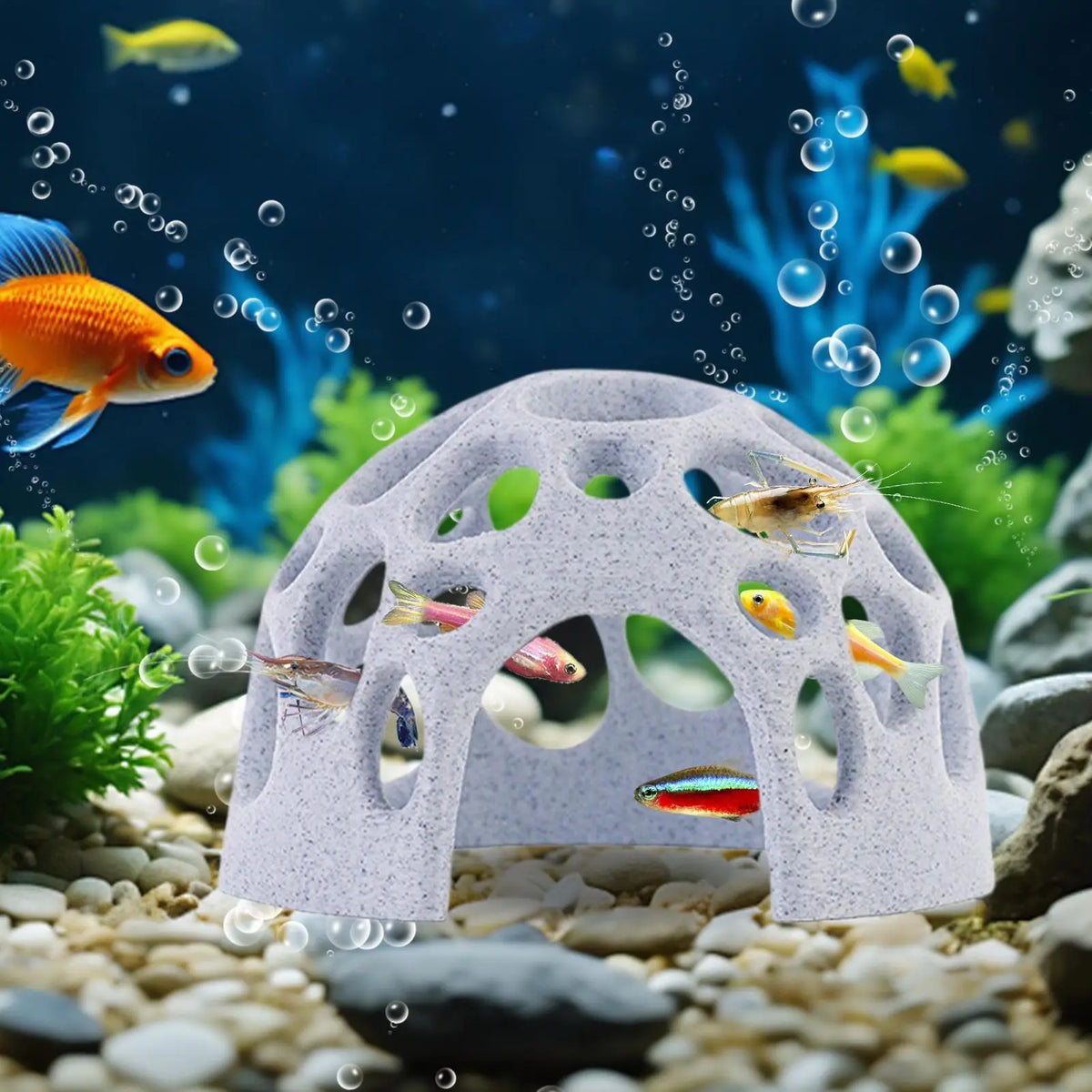 Aquarium Cave Fish Shrimps Shelter House - MyPetDollar.com